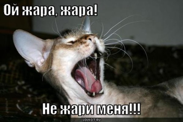 Приколы про жару с надписями