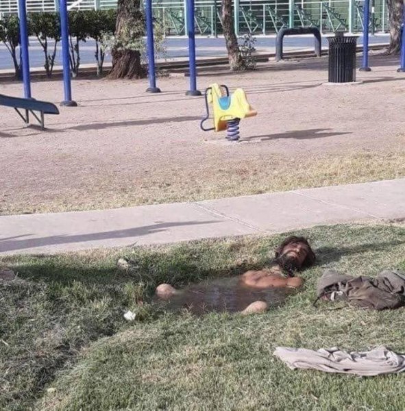 Жара летом приколы