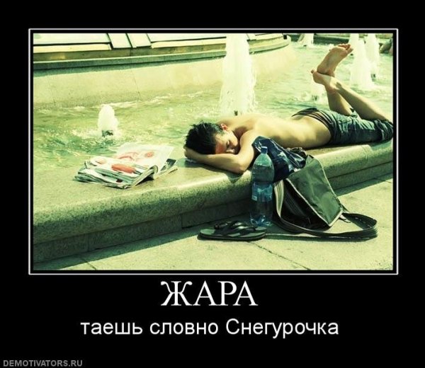 Приколы про жару