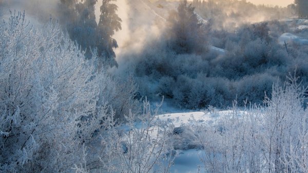 Морозная зима