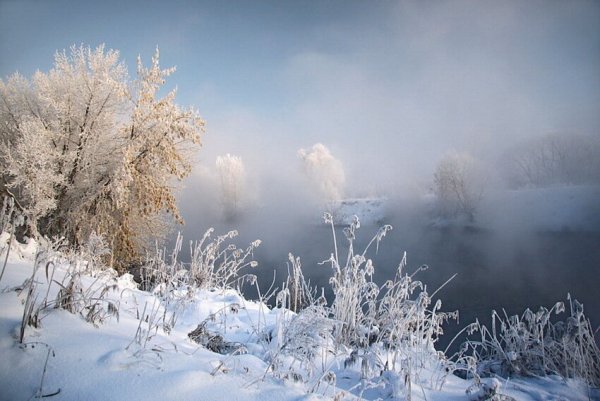 Нежный зимний пейзаж