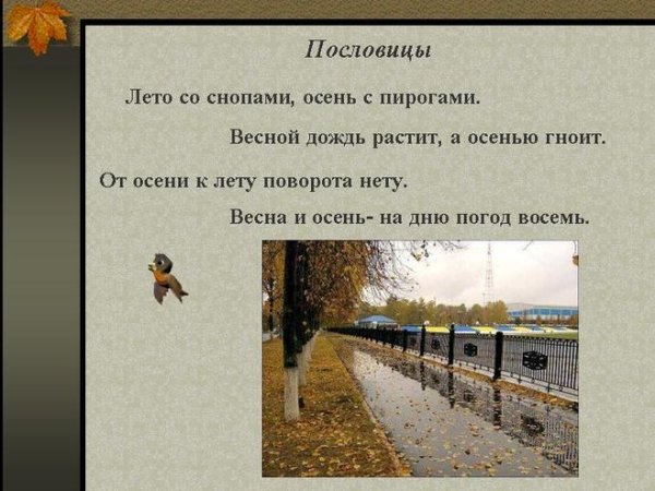 Пословицы о погоде