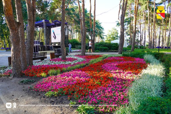 Алые паруса (парк)