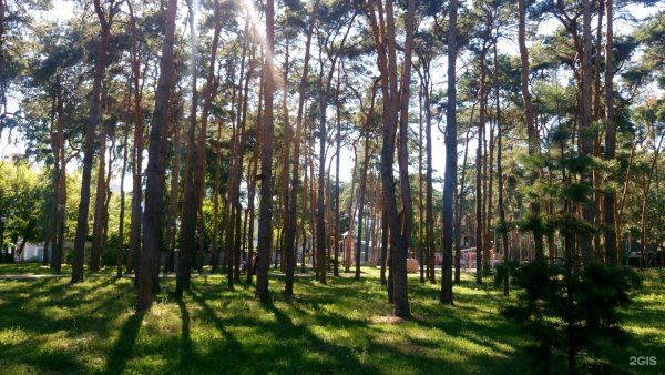 Воронежский парк Алые паруса