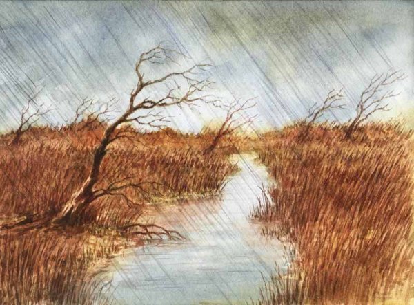 Пейзаж с ветром