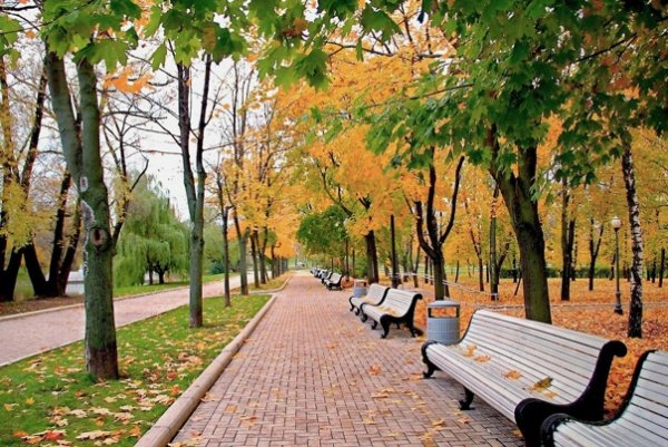 Пенза парк осень