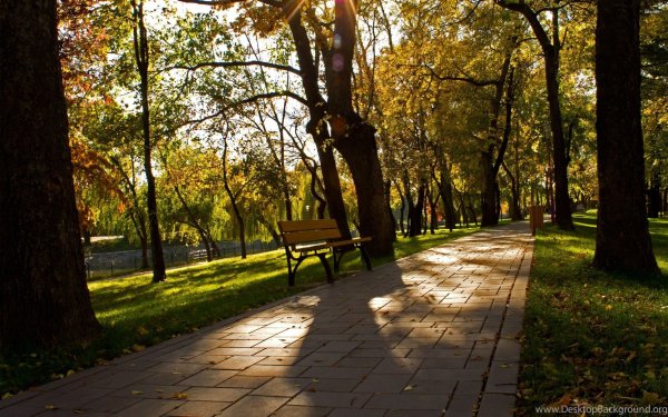 Октябрьский парк Москва