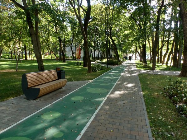 Парк Березовая роща велодорожки