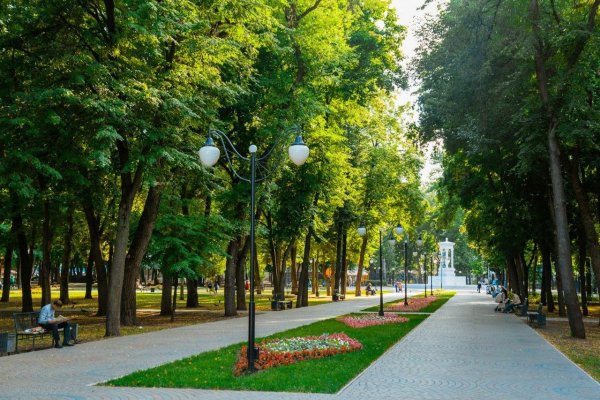 Сквер парк Воронеж