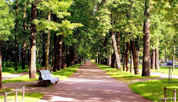 Парк Сосновый Краснодар