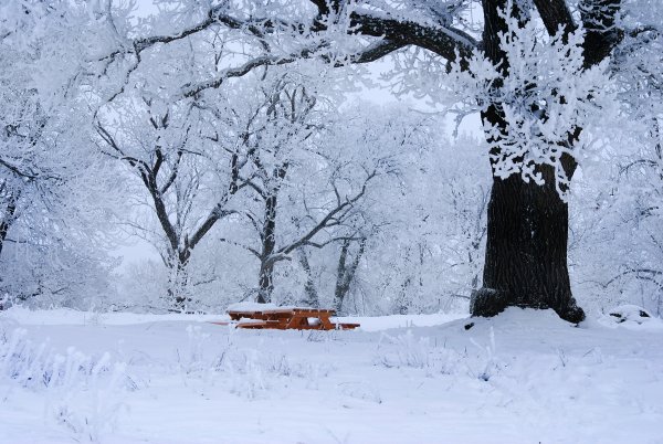 Холод снег