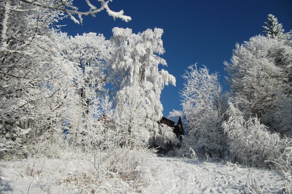 Снежная морозная зима