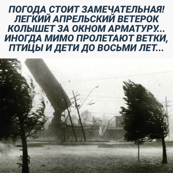 Легкий сентябрьский ветерок колышет арматуру