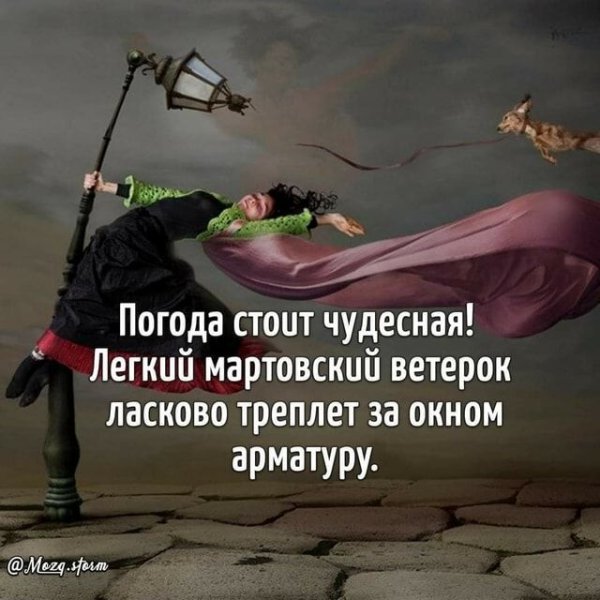 Легкий ветерок трепал арматуру