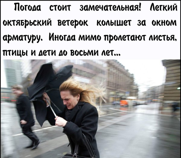 Легкий осенний ветерок колышет арматуру