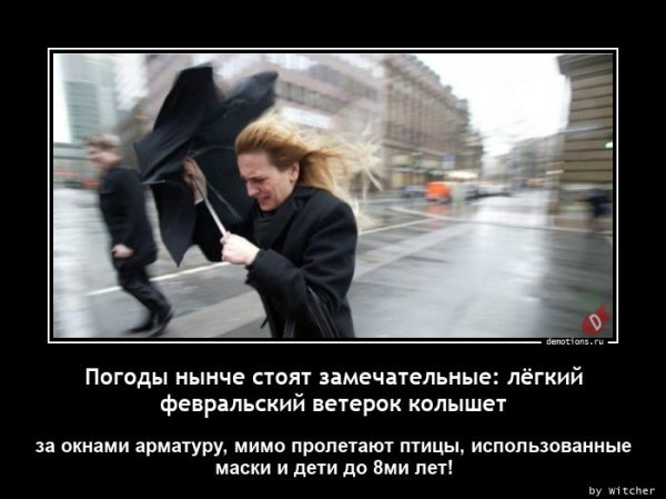 Какие нынче погоды стоят