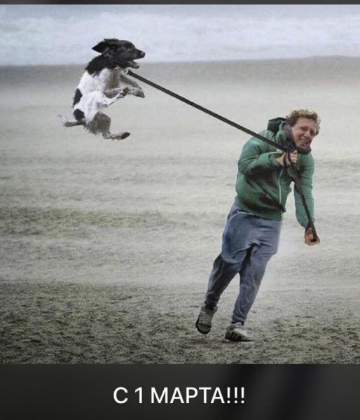 Слегка ветренно