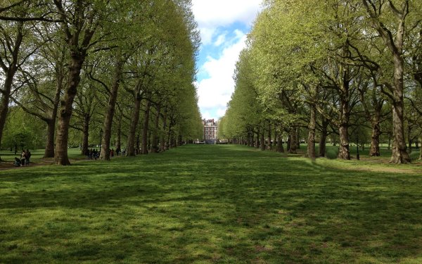 Грин-парк Лондон ворота