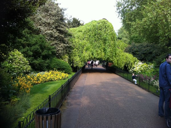 Грин парк Лондон