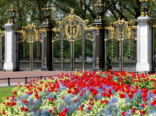 Грин парк Букингемский дворец
