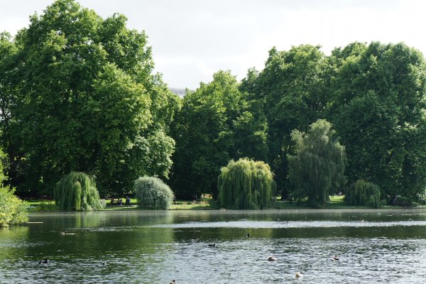 Грин парк Лондон