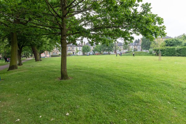 Грин парк пикник в Лондоне