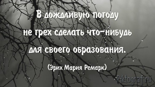 Высказывания про дождь