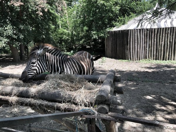 Сафари парк Краснодар