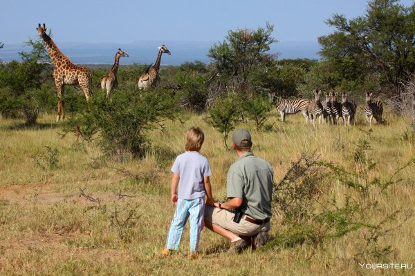 Сафари Африка в Танзани