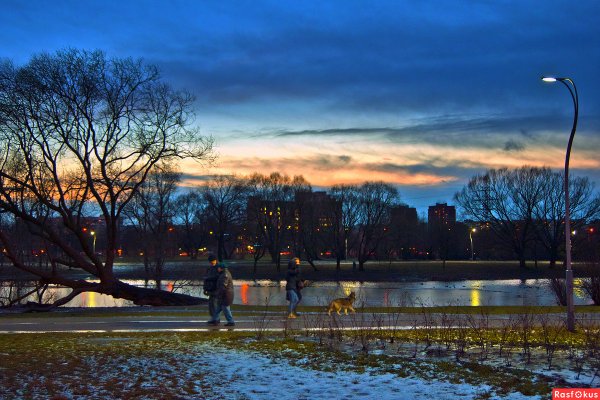 Муринский парк весной в Санкт-Петербурге