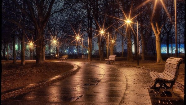 Ночная аллея в парке