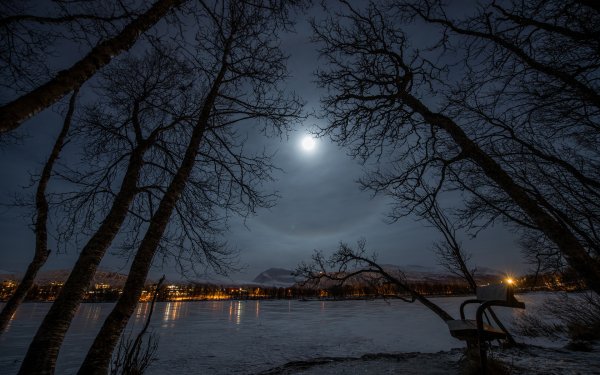 Весенняя ночь