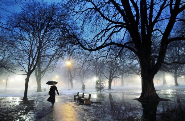 Зимний парк вечером