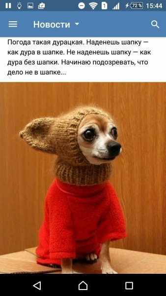 Шапочка для собаки