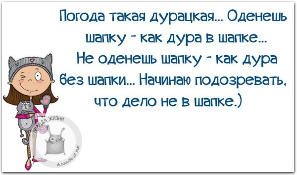 Цитаты про шапки