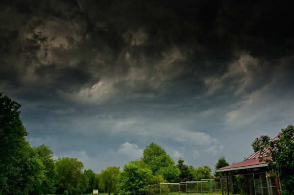 Плохая природа