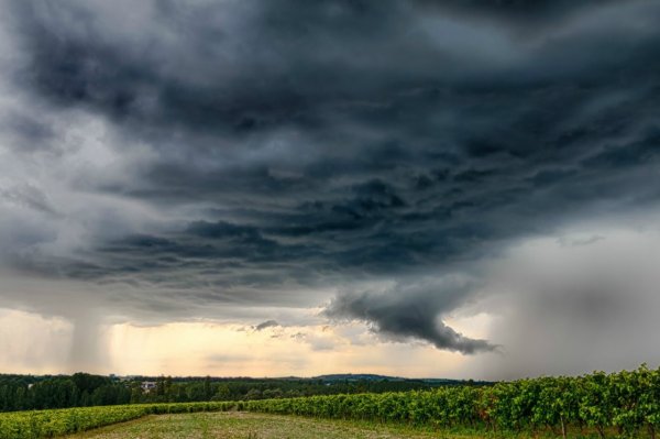 Дождевые и снежные тучи