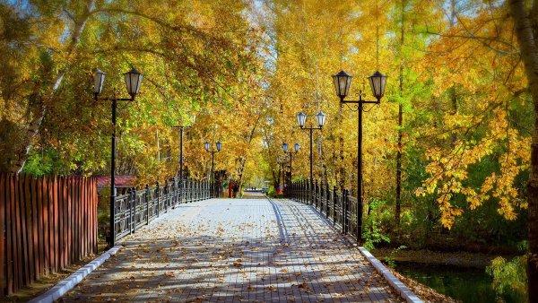 Омск осень Центральный парк