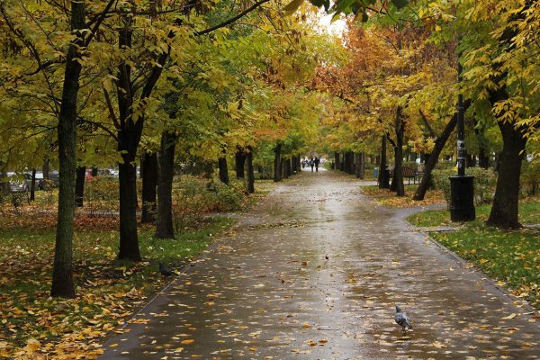 Городской парк осенью