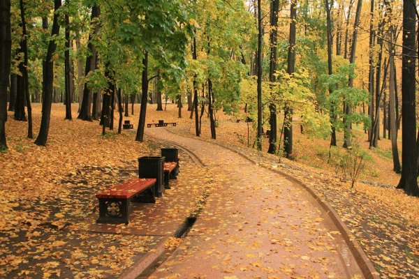 Осенний городской парк