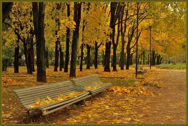 Парк красная Пресня осень