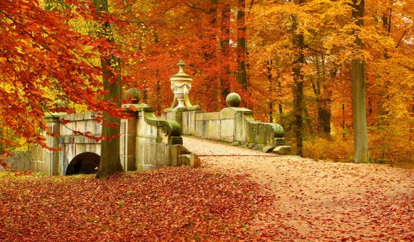 Осенний пейзаж Петергоф