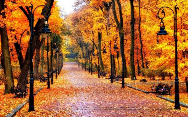 Осень в парке