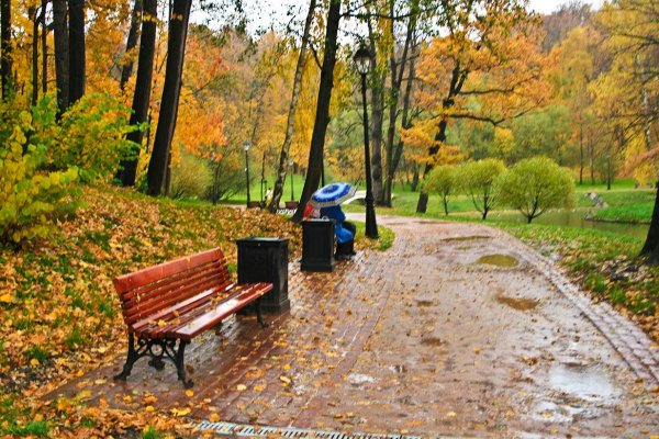 Осенний парк Москва