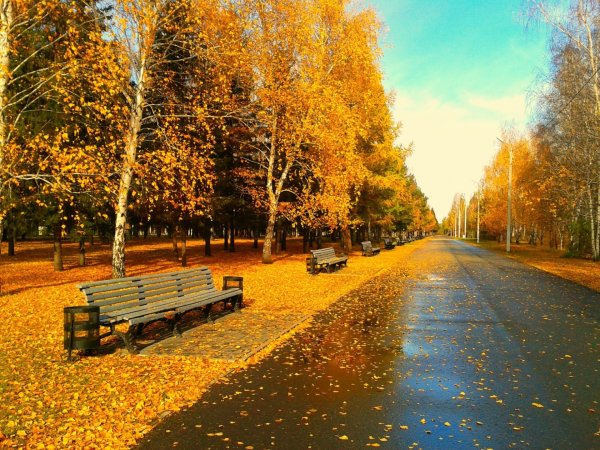 Ранняя осень в городе
