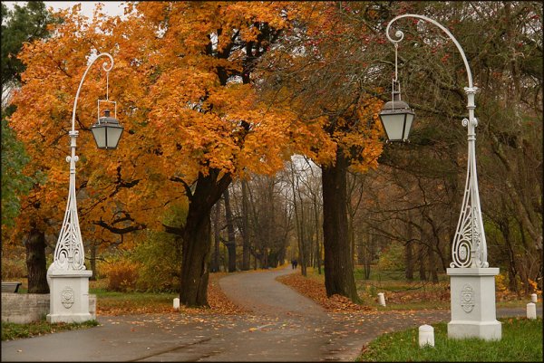 Горьковский парк Санкт-Петербург осень