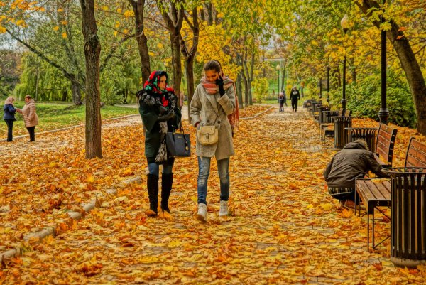 Прогулка осенью