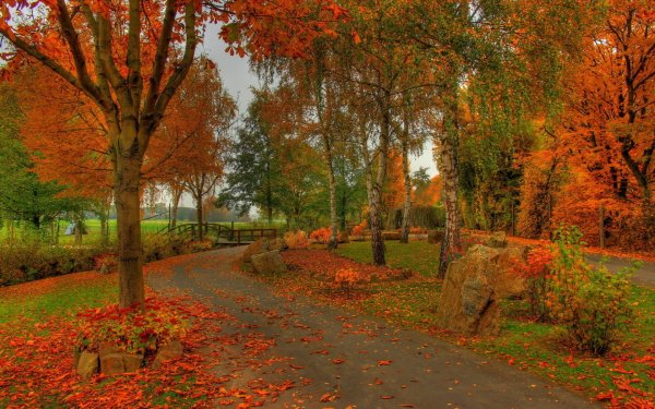 Осенний пейзаж в парке