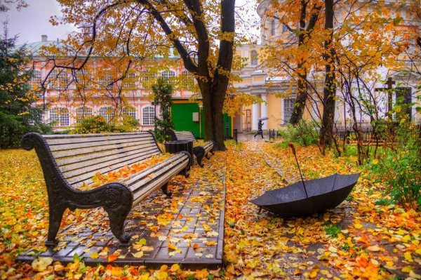 Эдуард Гордеев осенний Петербург парк скамейка