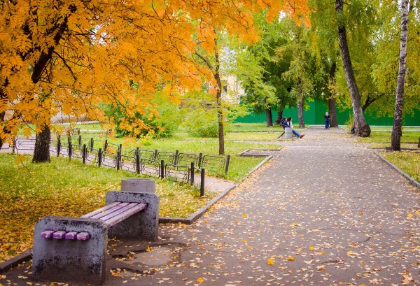 Город Новосибирск парк